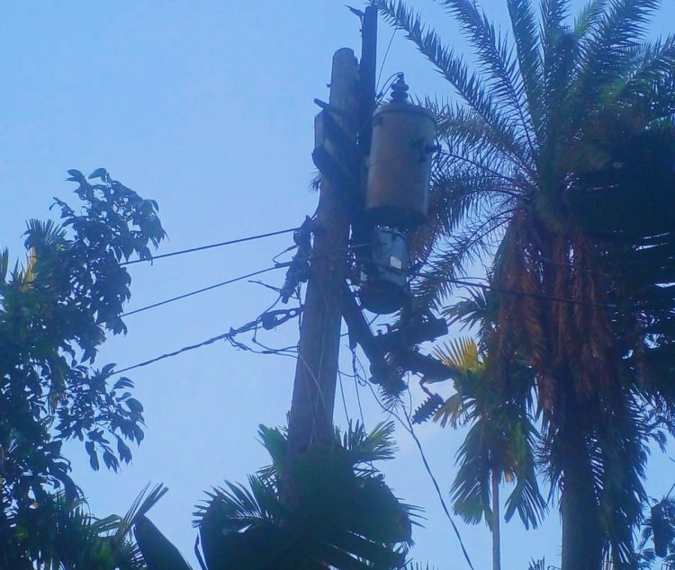 কাউখালীতে কালবৈশাখী ঝড়ে বিদ্যুতের ব্যাপক ক্ষয়ক্ষতি, তিন ইউনিয়নে বিদ্যুৎ বিচ্ছিন্ন