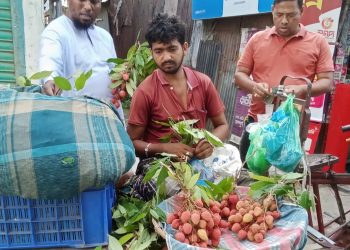 কেমিক্যাল দিয়ে পাকানো অপরিপক্ক লিচু-আমের ছড়াছড়ি, স্বাস্থ্যঝুঁকির আশঙ্কা