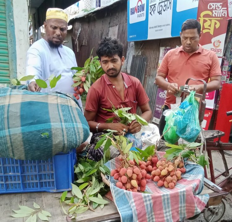 কেমিক্যাল দিয়ে পাকানো অপরিপক্ক লিচু-আমের ছড়াছড়ি, স্বাস্থ্যঝুঁকির আশঙ্কা