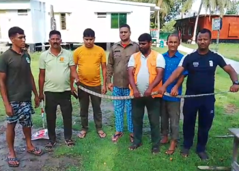 সুন্দরবন থেকে লোকালয় আসা দুটি বিষধর সাপ উদ্ধার, আতঙ্কে জয়মনি বাসী