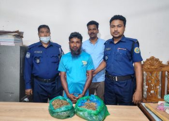 দশমিনায় গাঁজাসহ এক মাদক কারবারি গ্রেফতার