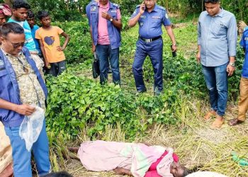 আমতলীর ধানক্ষেত থেকে অজ্ঞাত এক নারীর মরদেহ উদ্ধার