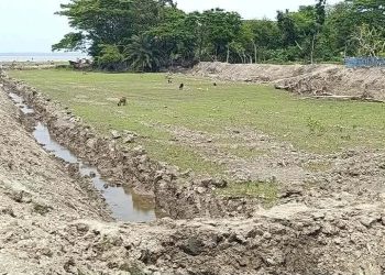 তালতলীতে কর্মকর্তাদের যোগসাজশে পাউবোর জমি দখল করে মাছের ঘের নিমার্ণের অভিযোগ