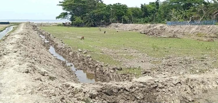 তালতলীতে কর্মকর্তাদের যোগসাজশে পাউবোর জমি দখল করে মাছের ঘের নিমার্ণের অভিযোগ