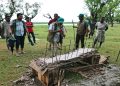 তালতলীতে বেঞ্চ নির্মাণ ঘিরে দুই সরকারি দপ্তরের দ্বন্দ্ব, গচ্চা লক্ষাধিক টাকা
