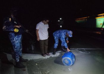 তালতলীতে ১৮ লাখ টাকার অবৈধ চিংড়ি রেণু জব্দ, নদীতে অবমুক্ত
