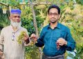 দশমিনায় কৃষি উদ্যোক্তা আকরামের বাগানে পাঁকা আঙ্গুরের সমাহার