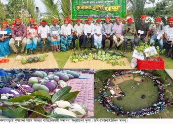 দারিদ্র্য দূর করে সফল গেরস্ত পরিবার কলাপাড়ার সুলতানেরা, শোনালেন সফলতার গল্প