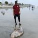 কুয়াকাটা সৈকতে ভেসে এলো মৃত ডলফিন