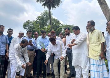বাকেরগঞ্জে বৃক্ষরোপণ কর্মসূচির শুভ উদ্বোধন