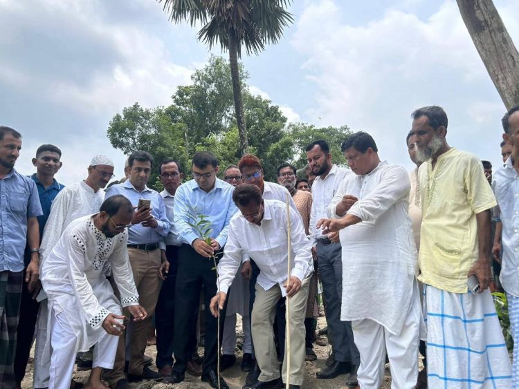 বাকেরগঞ্জে বৃক্ষরোপণ কর্মসূচির শুভ উদ্বোধন
