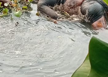 নিখোঁজের ৭ দিন পর হাত-পা বাঁধা অবস্থায় পরিত্যাক্ত কচুরির খাল থেকে এক যুবকের মরদেহ উদ্ধার