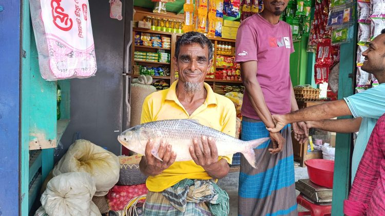 দুমকির পায়রা নদীতে ধরা পড়ল ২ কেজির ইলিশ, খুশিতে আত্মহারা জেলে