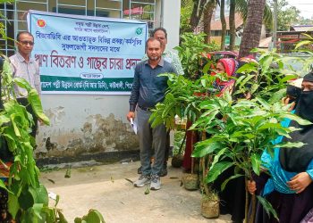 কাউখালীতে বিআরডিবির ঋণ বিতরণ ও গাছের চারা প্রদান