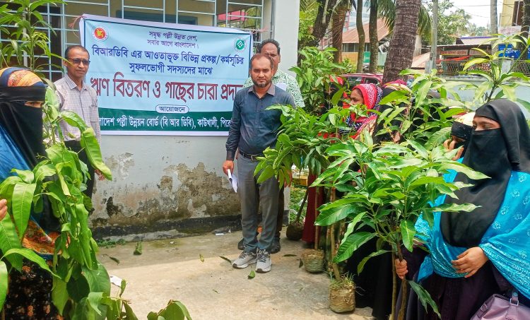 কাউখালীতে বিআরডিবির ঋণ বিতরণ ও গাছের চারা প্রদান