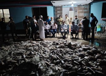 পটুয়াখালীতে নিষেধাজ্ঞা অমান্য করে সামুদ্রিক মাছ ও জাটকা পরিবহনের দায়ে বাস আটক