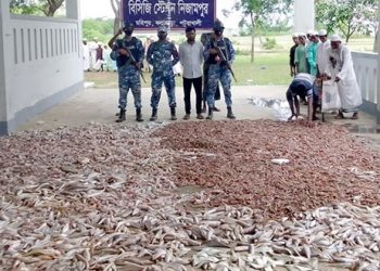 কলাপাড়ায় সাড়ে দশ হাজার কেজি সামুদ্রিক মাছ জব্দ