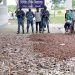 কলাপাড়ায় সাড়ে দশ হাজার কেজি সামুদ্রিক মাছ জব্দ