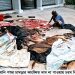 বাগেরহাটে কোরবানি পশুর চামড়ার কাংঙ্খিত দাম না পাওয়ায় চরম বিপাকে বিক্রেতারা