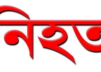 আমতলীতে পিকআপের চাকা ফেটে ব্রিজের সাথে ধাক্কা, হেলপার নিহত