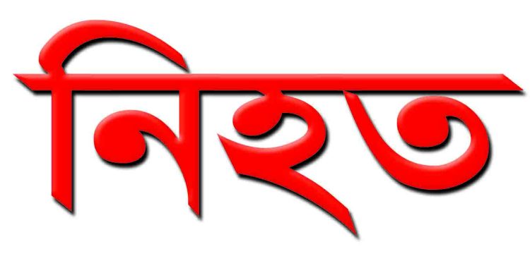 আমতলীতে পিকআপের চাকা ফেটে ব্রিজের সাথে ধাক্কা, হেলপার নিহত
