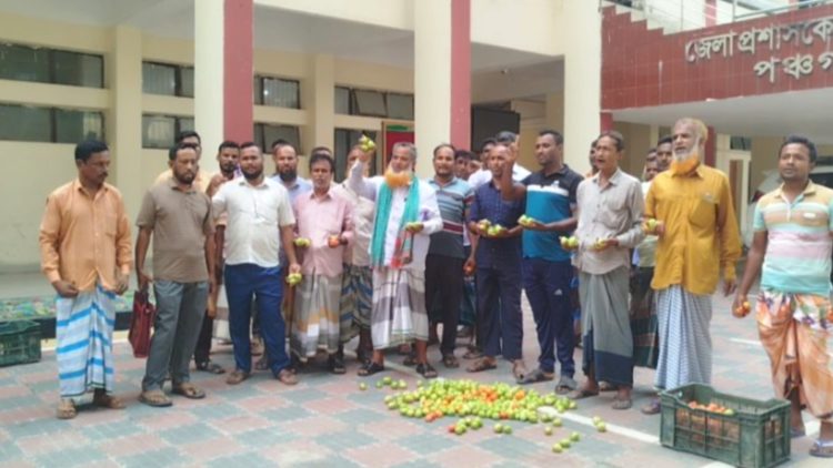 ভারতীয় টমেটো আমদানি বন্ধের দাবিতে পঞ্চগড়ে ব্যবসায়ীদের বিক্ষোভ