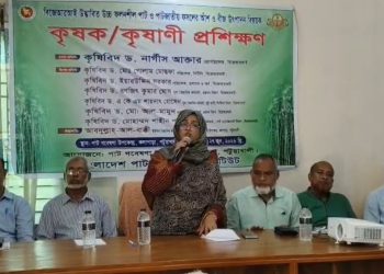 কলাপাড়ায় পাটজাতীয় আঁশ ও বীজ উৎপাদন বিষয়ে কৃষক-কৃষাণীদের প্রশিক্ষণ অনুষ্ঠিত