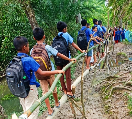 কাউখালীতে দুই কিলোমিটার কাঁচা সড়ক চলাচলের অযোগ্য, ঝুঁকি নিয়ে সাঁকো ব্যবহার করছে শিক্ষার্থীরা