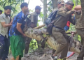 দুর্ঘটনার পরে খানজাহান আলী মাজারের কুমিরকে মাজার থেকে অপসারণ