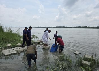 দুমকিতে ২০ লাখ টাকার অবৈধ চিংড়ির রেনু জব্দ, নদীতে অবমুক্ত
