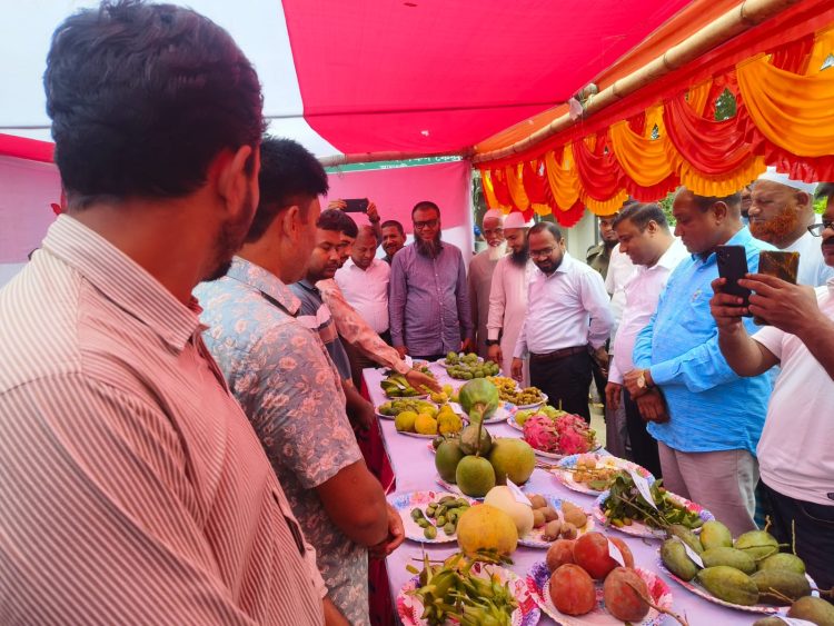 আমতলীতে দিনব্যাপী জাতীয় ফল মেলা অনুষ্ঠিত