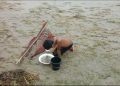 দশমিনায় তেঁতুলিয়া ও বুড়াগৌরাঙ্গ নদীতে চলছে রেনু পোনা শিকারের মহোৎসব