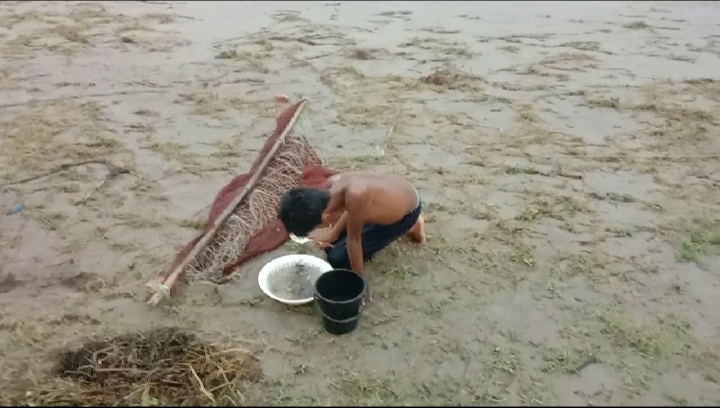 দশমিনায় তেঁতুলিয়া ও বুড়াগৌরাঙ্গ নদীতে চলছে রেনু পোনা শিকারের মহোৎসব