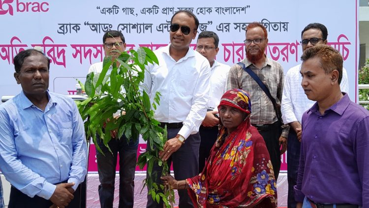পটুয়াখালীতে ব্র্যাক ও আড়ং-এর উদ্যোগে অতিদরিদ্রদের মাঝে গাছের চারা বিতরণ