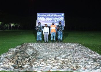 পটুয়াখালীতে কোস্ট গার্ডের অভিযানে ৩৮ লাখ টাকার সামুদ্রিক মাছ ও জাটকা জব্দ