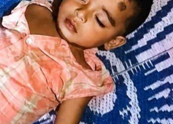 দশমিনায় সাপের কামড়ে ১০ মাসের শিশুর করুণ মৃত্যু