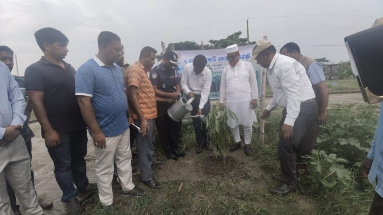 রাঙ্গাবালীতে ৫ বছরে ২৫ কোটি গাছ লাগানোর সরকারি কর্মসূচির শুভ উদ্বোধন