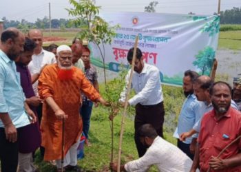 ‘একটি গাছ, একটি প্রাণ’ পঞ্চগড়ে বৃক্ষরোপণ কর্মসূচির উদ্বোধন