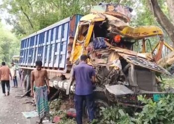 মাদারীপুরে ট্রাক ও পত্রিকাবাহী পিকআপের মুখোমুখি সংঘর্ষে চালক নিহত, আহত অন্তত ৫