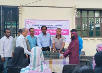 মির্জাগঞ্জে ব্র্যাকের উদ্যোগে হাঁস-মুরগি ও নগদ অর্থ বিতরণ