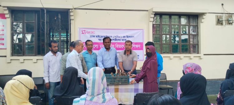 মির্জাগঞ্জে ব্র্যাকের উদ্যোগে হাঁস-মুরগি ও নগদ অর্থ বিতরণ