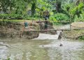 গলাচিপায় পানি নিষ্কাশনের জন্য কাটা বাঁধই এখন দুর্ভোগের কারণ, পানিবন্দী ৩ হাজার পরিবার