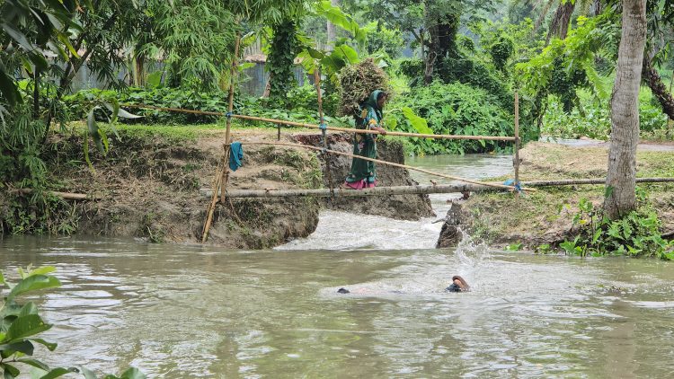 গলাচিপায় পানি নিষ্কাশনের জন্য কাটা বাঁধই এখন দুর্ভোগের কারণ, পানিবন্দী ৩ হাজার পরিবার