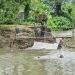 গলাচিপায় পানি নিষ্কাশনের জন্য কাটা বাঁধই এখন দুর্ভোগের কারণ, পানিবন্দী ৩ হাজার পরিবার