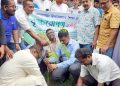 পরিবেশ সুরক্ষায় কলাপাড়ায় ৫০ শিক্ষা প্রতিষ্ঠানে চারা বিতরণ