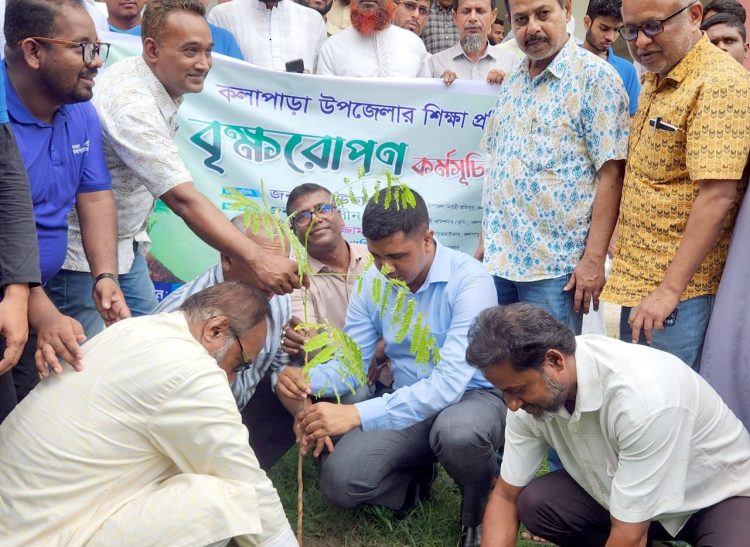 পরিবেশ সুরক্ষায় কলাপাড়ায় ৫০ শিক্ষা প্রতিষ্ঠানে চারা বিতরণ