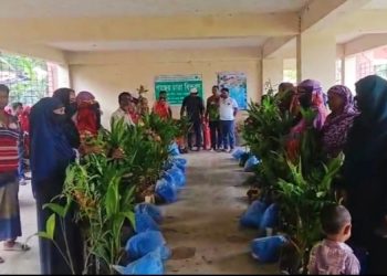 জলবায়ু ঝুঁকি মোকাবেলায় মোংলায় গাছের চারা বিতরণ