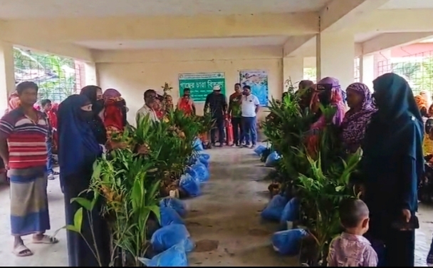 জলবায়ু ঝুঁকি মোকাবেলায় মোংলায় গাছের চারা বিতরণ