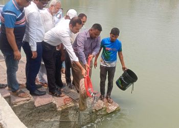 কাউখালীতে দেশীয় মাছের প্রজাতি সংরক্ষণে পোনা মাছ অবমুক্ত