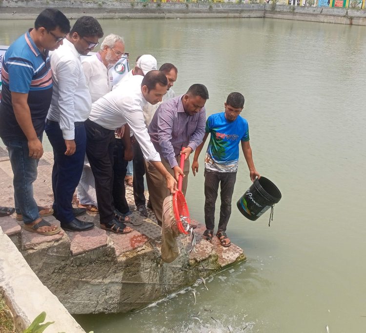 কাউখালীতে দেশীয় মাছের প্রজাতি সংরক্ষণে পোনা মাছ অবমুক্ত